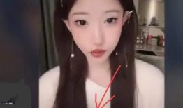 李恩爆料截图视频在哪看,揭秘观看途径