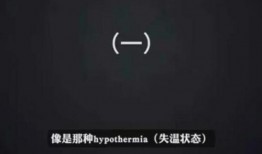 雨神录音爆料视频大全最新,最新爆料视频大全全解析